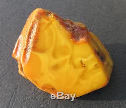 Antique Natural Genuine Butterscotch Egg Yolk Baltic Amber Stone 25.8g