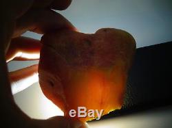 Antique Old Amber Natural Baltic Egg Yolk Butterscotch Amber 77 Grams