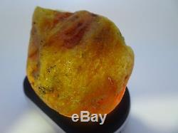 Antique Round Natural Baltic Egg Yolk Butterscotch Amber 121.6 Grams