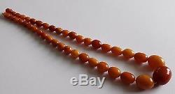 Antique Vintage 1920 c Rare Natural Baltic Amber Olive Beads Necklace