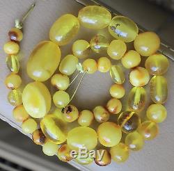 Antique Vintage Butterscotch Egg Yolk Natural Baltic Amber Necklace Beads 24,4 G