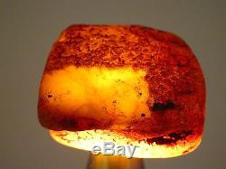 Antique Vintage Natural Baltic Egg Yolk Butterscotch Amber 69 Grams