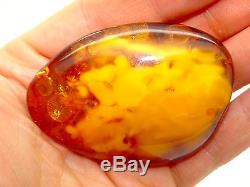 Antique Vintage Natural Egg Yolk Butterscotch Baltic Amber Brooch