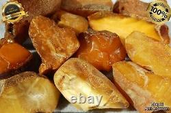 Antique Yellow White Color Natural Baltic Amber Stones 155 Grams Fast Shipping