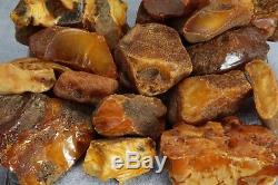 Antique honey white Natural Baltic amber stones 130gr, Free, NO worldwide TAX