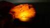 Antique Natural Baltic Amber Raw Stone 130 Gr