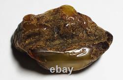 Authentic amber stone Natural Baltic Amber stone Genuine Amber piece