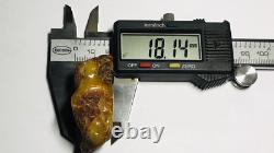 Authentic amber stone Natural Baltic Amber stone Genuine Amber piece