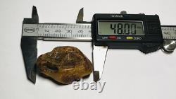 Authentic amber stone Natural Baltic Amber stone Genuine Amber piece