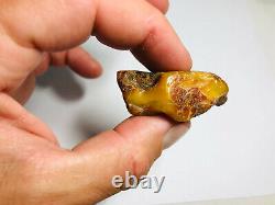 Authentic amber stone Natural Baltic Amber stone Genuine Amber piece