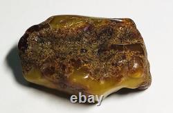 Authentic amber stone Natural Baltic Amber stone Genuine Amber piece