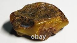 Authentic amber stone Natural Baltic Amber stone Genuine Amber piece