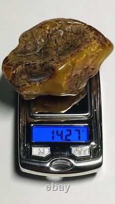 Authentic amber stone Natural Baltic Amber stone Genuine Amber piece