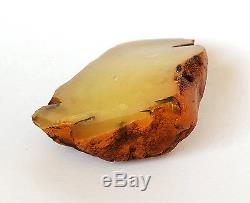 Baltic Amber 108 grams Natural Butterscotch raw rough stone