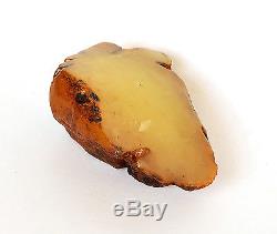 Baltic Amber 108 grams Natural Butterscotch raw rough stone