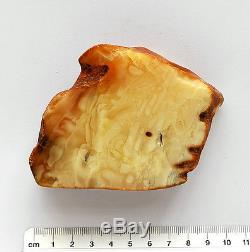 Baltic Amber 117,7 grams Natural Butterscotch raw rough stone