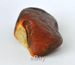Baltic Amber 120 grams Natural Butterscotch raw rough stone