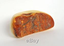 Baltic Amber 125 grams Natural Butterscotch raw rough stone
