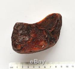 Baltic Amber 150 grams Natural Butterscotch raw rough stone