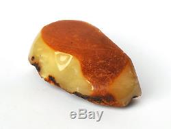 Baltic Amber 253,2 grams Natural Butterscotch raw rough stone