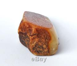 Baltic Amber 253,2 grams Natural Butterscotch raw rough stone