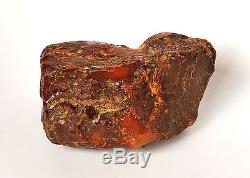 Baltic Amber 261 grams Natural Butterscotch raw rough stone