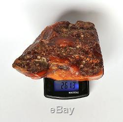 Baltic Amber 261 grams Natural Butterscotch raw rough stone