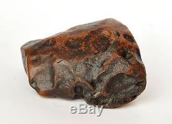 Baltic Amber 330 grams Natural Butterscotch raw rough stone