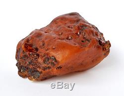 Baltic Amber 384 grams Natural Butterscotch raw rough stone