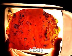 Baltic Amber 384 grams Natural Butterscotch raw rough stone