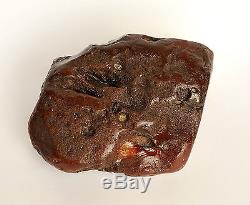 Baltic Amber 392 grams Natural Butterscotch raw rough stone