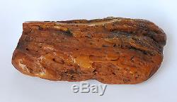 Baltic Amber 452 grams Natural Butterscotch raw rough stone