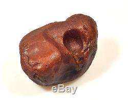 Baltic Amber 570 grams Natural Butterscotch raw rough stone