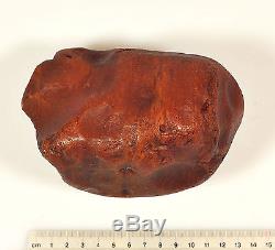 Baltic Amber 570 grams Natural Butterscotch raw rough stone