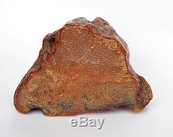 Baltic Amber 585,00 grams Natural Butterscotch raw rough stone