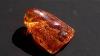 Baltic Amber 61 50ct Whiskey Orange 100 Natural Triple Insect Inclusions