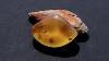 Baltic Amber 8 65ct Limoncello Yellow 100 Natural Cabochon Triangle