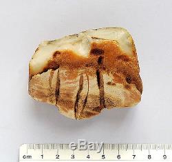 Baltic Amber 81 grams Natural White raw rough stone