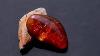 Baltic Amber 9 90ct Rusty Red 100 Natural
