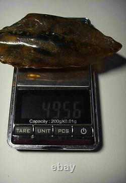 Baltic Amber Stone 49g Genuine Raw Amber Large amber stone raw amber