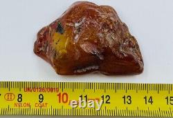 Baltic Amber Stone Genuine Amber Natural Baltic Amber Gemstone Amber N106