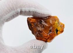 Baltic Amber Stone Genuine Amber Natural Baltic Amber Gemstone Amber N106