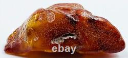 Baltic Amber Stone Genuine Amber Natural Baltic Amber Raw Amber N106