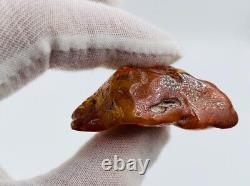 Baltic Amber Stone Genuine Amber Natural Baltic Amber Raw Amber N106