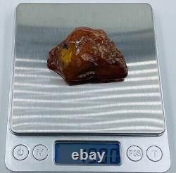 Baltic Amber Stone Genuine Amber Natural Baltic Amber Raw Amber N106