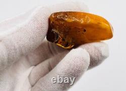 Baltic Amber Stone Genuine Amber Natural Baltic Amber Raw Gemstone Amber