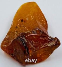 Baltic Amber Stone Genuine Amber Natural Baltic Amber Raw Gemstone Amber