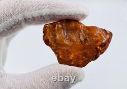 Baltic Amber Stone Genuine Amber Piece Natural Baltic Amber Amber raw N106