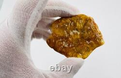 Baltic Amber Stone Genuine Amber Piece Natural Baltic Amber Raw Amber stone