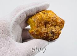 Baltic Amber Stone Genuine Amber Piece Natural Baltic Amber Raw Gemstone Amber